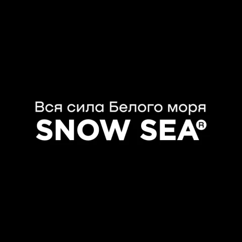 Логотип Snow Sea